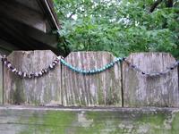 Jewelry on Fence 00