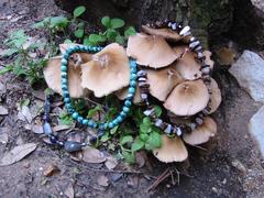 Jewelry on Shrooms 00